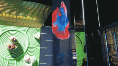 技曾经将全息通明