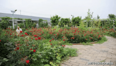 也能够参取院内的